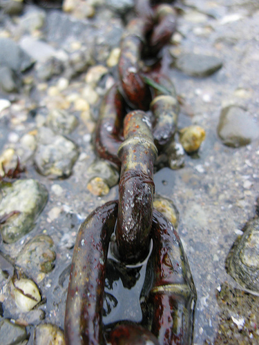 The Benefits Of A Blog For Your Business