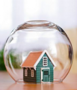 financial planning pro activity