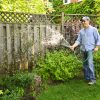 Tips For Watering Your Lawn