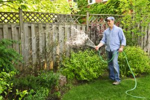 Tips For Watering Your Lawn