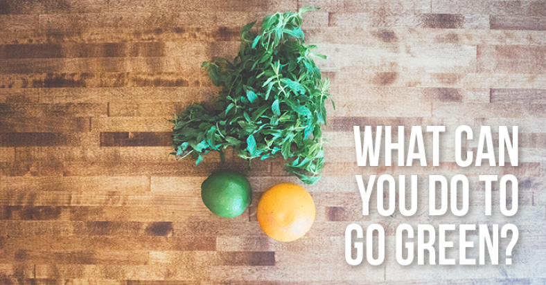 3 Simple Ways To Help You Go Green In Your Home