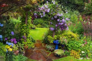 A Flower For All Seasons – Let Your Garden Bloom All Year Round