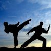 Why Should You Learn Martial Arts?