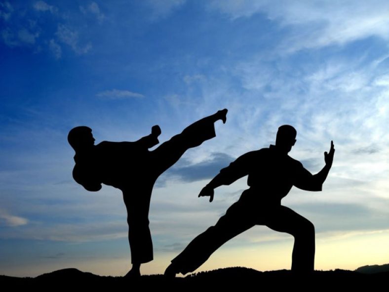 Why Should You Learn Martial Arts?