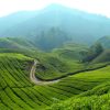 Things To Do & Experience In Malaysia