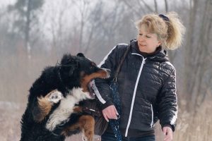 A Quick Guide On Dog Bite And Animal Attack