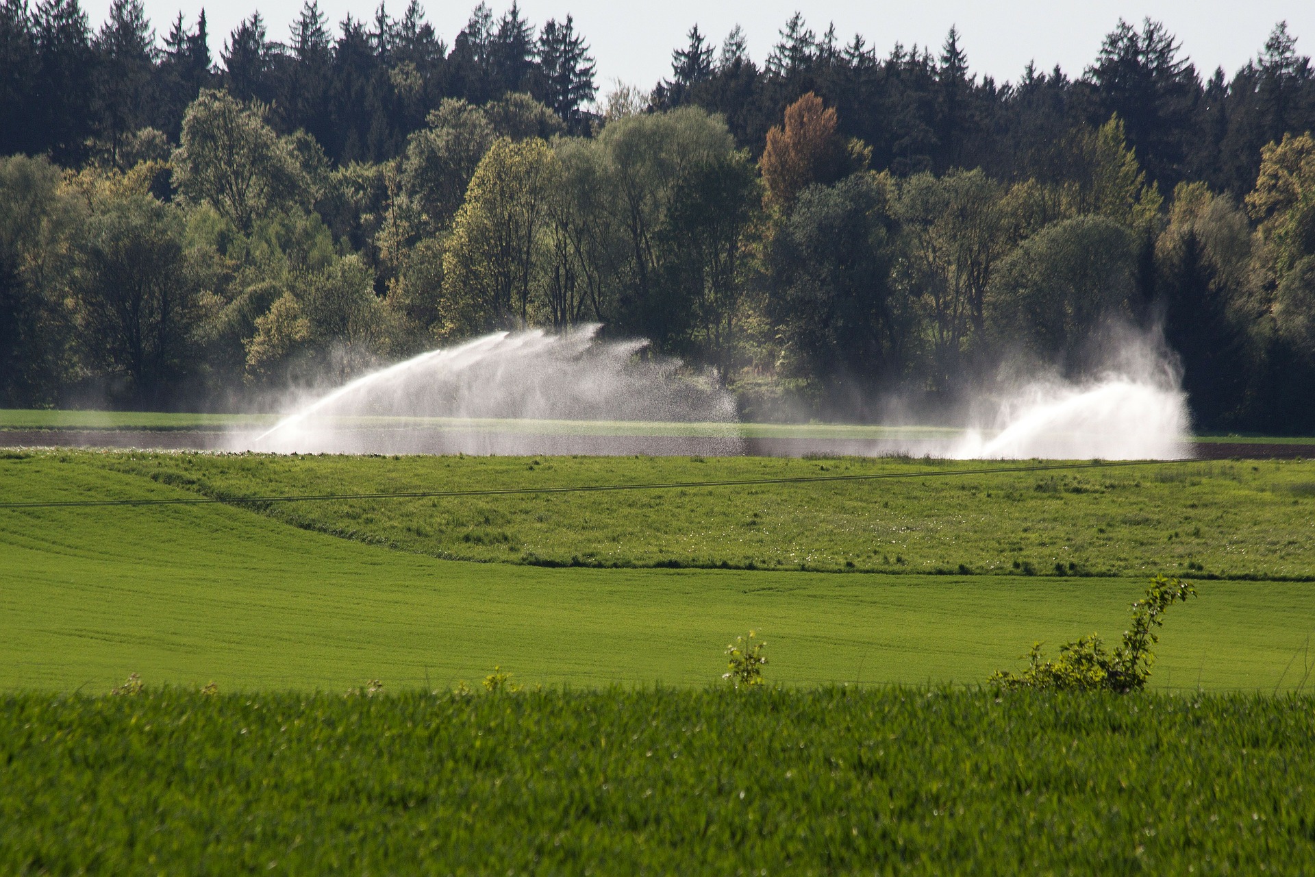 Solar-Powered Irrigation In Modern Agriculture