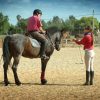 Essentials for Equestrian Riding