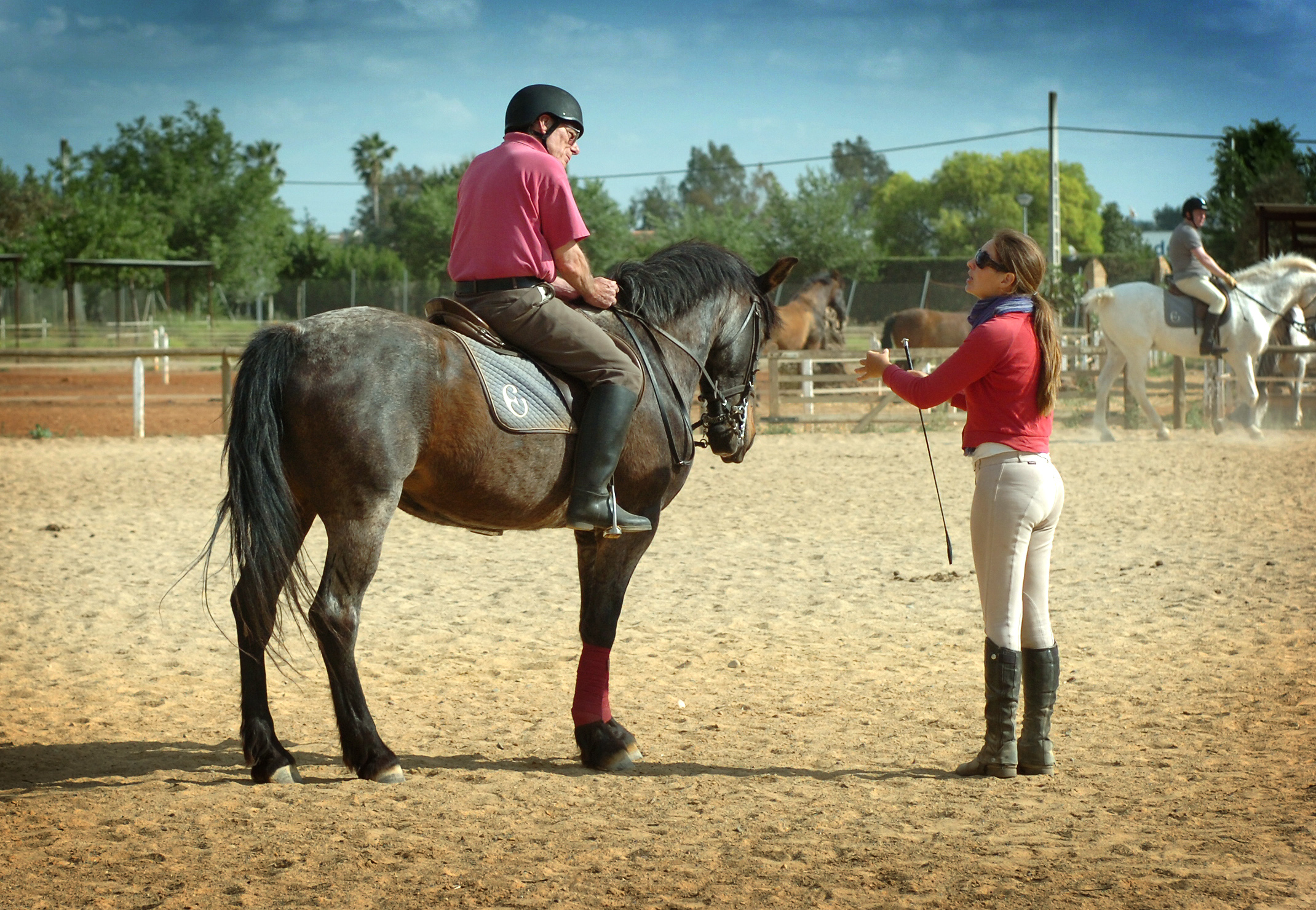 Essentials for Equestrian Riding