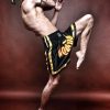 Why Is Muay Thai In Thailand So Popular Around The World?