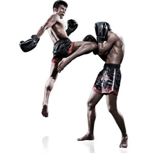 Your New Hobby At Muay Thai Fitness Gym