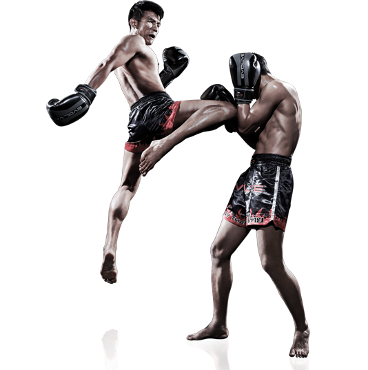 Your New Hobby At Muay Thai Fitness Gym