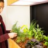 The Future Is Here: How Led Lights Revolutionized Indoor Gardening