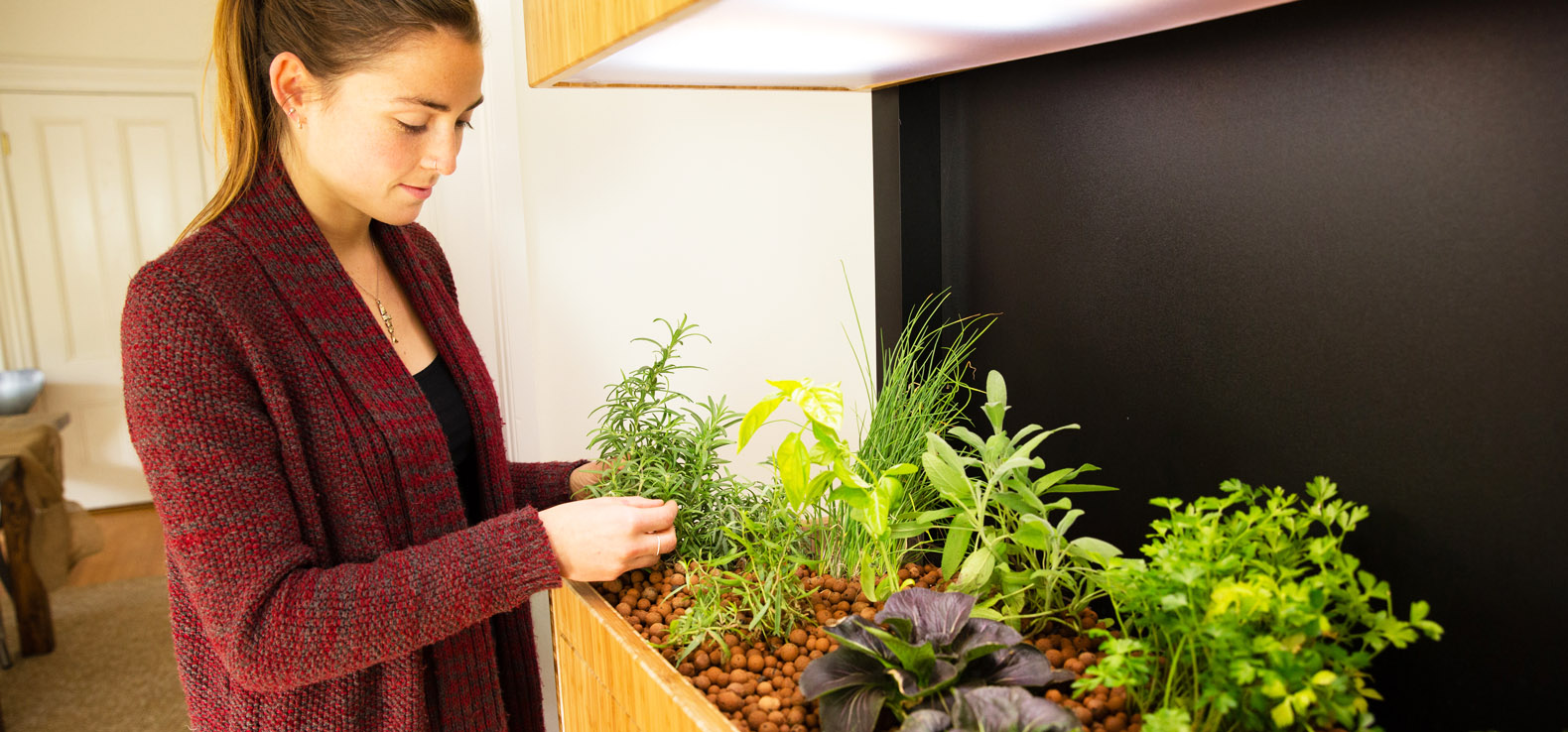 The Future Is Here: How Led Lights Revolutionized Indoor Gardening