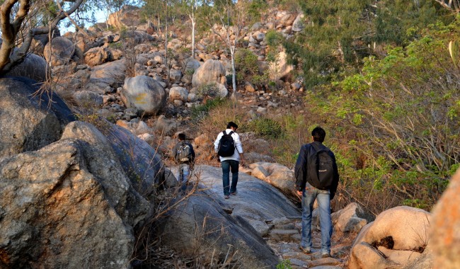 Bangalore Treks For Exciting Adventures and Thrills