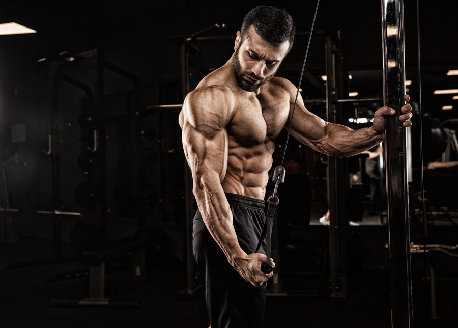 High Quality Ingredients Of Clenbuterol Give Remarkable Health Benefits To The Users