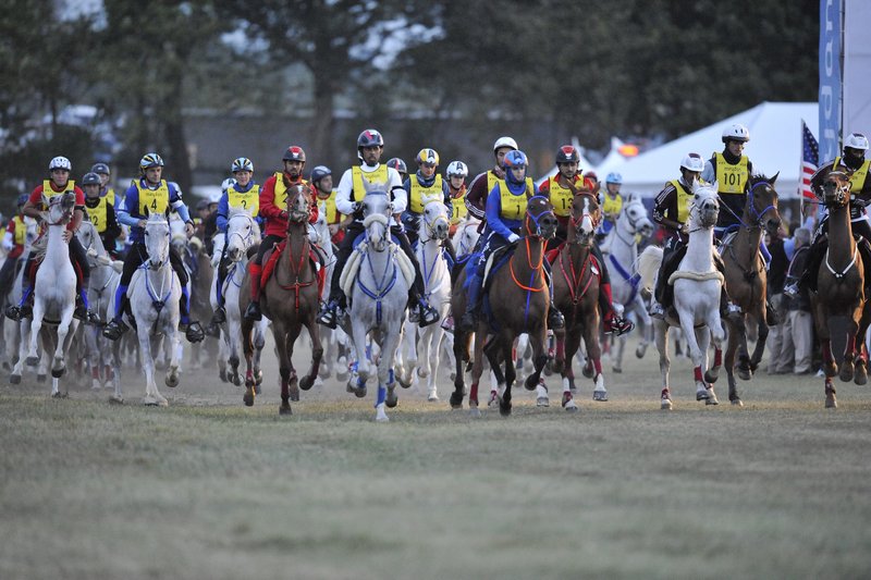 What Exactly Is Endurance Riding All About?