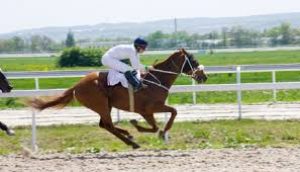Horse Racing Categories & Classification