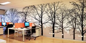 Wallpaper Designs Everyone is Going Crazy About in 2020