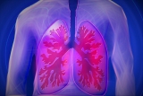 7 Tips On How To Improve Lung Cancer Survival
