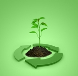 New Ideas On How To Use Biomass Energy