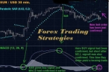 Is there a ‘best’ trading strategy?