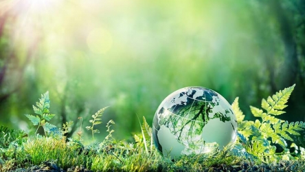 Green Living Basics – How to Lower Your Carbon Footprint