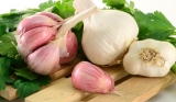 Health Benefits Of Garlic