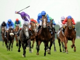 How Have Horse Racing Events Changed Over Time