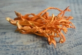 How can Cordyceps Mushrooms Enhance Athletic Performance?