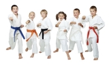 Choosing Your Martial Art