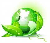 Innovative Ways To Use Biomass