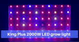The Common Mistakes People make when Using LED Grow Lights