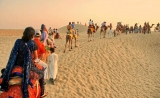 What To See In Rajasthan