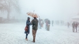 Shimla – The Perfect Holiday Destination For Any Occasion