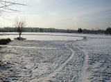 Tips for Surviving Winter Golfing