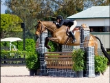 Wellington – Equestrian Capital Of Florida