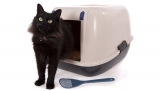 Why Good Cat Litter Box is Essential for Our Health?