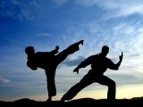 Why Should You Learn Martial Arts?