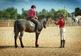 Essentials You Will Need For An Equestrian Riding