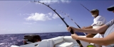 Deep Sea Fishing: What To Expect