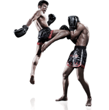 Your New Hobby At Muay Thai Fitness Gym